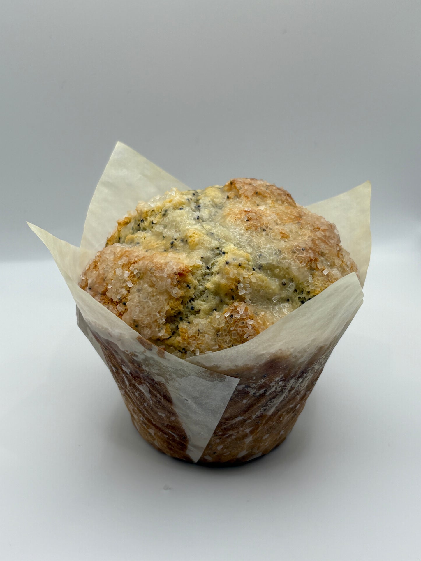 Jumbo Lemon Poppy Seed Muffins